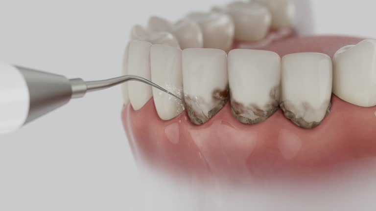 Reliable Dental contractor in Bellwood, VA by Dentist Open Now